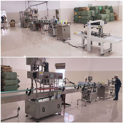 河北獸藥灌裝機(jī)生產(chǎn)線設(shè)備