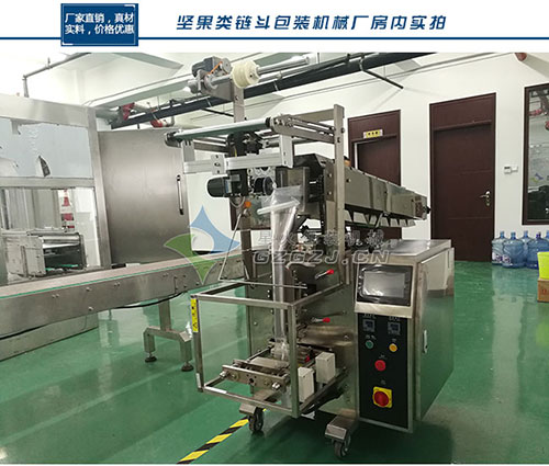 自動下料鏈斗式包裝機整機展示