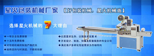 瓶裝調(diào)味粉灌裝機設(shè)備廠家