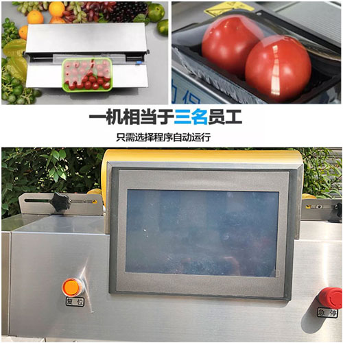 生鮮蔬菜保鮮膜包裝機細(xì)節(jié)