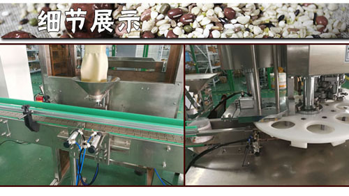 全自動(dòng)顆粒罐裝包裝生產(chǎn)線細(xì)節(jié)