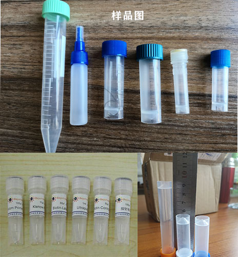 全自動(dòng)生物試劑灌裝機(jī)生產(chǎn)線樣品展示