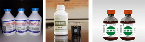 自動(dòng)液體獸藥灌裝機(jī)生產(chǎn)線樣品圖